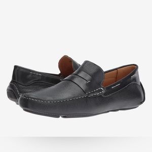 Massimo Matteo Penny Driver